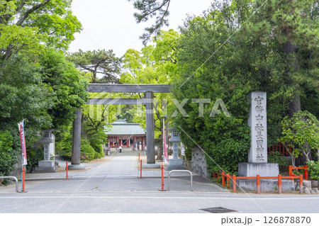 長田神社 西鳥居から見える神門と拝殿 長田神社 西鳥居から見える神門と拝殿 126878870