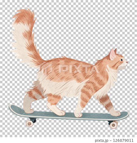 cat breeds in the world  Play all kinds of sports white background  126879011