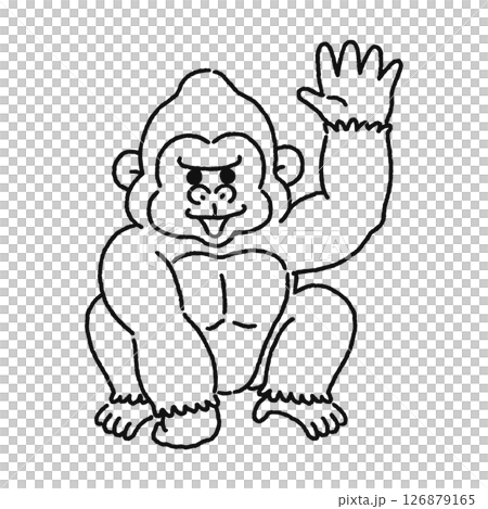 手を振るゴリラ　線画 126879165