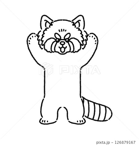 かわいいレッサーパンダ　線画 126879167