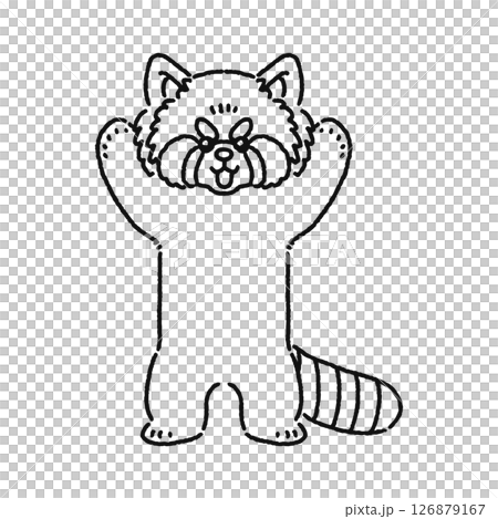 かわいいレッサーパンダ　線画 126879167