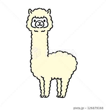 かわいいアルパカ かわいいアルパカ 126879168