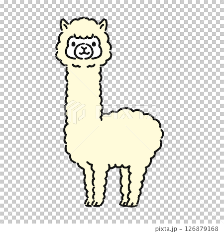 かわいいアルパカ かわいいアルパカ 126879168