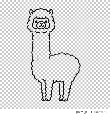 Cute alpaca line drawing Cute alpaca line drawing 126879169