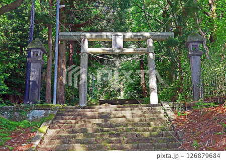 白山神社(上越) 白山神社(上越) 126879684