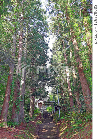 白山神社(上越) 白山神社(上越) 126879685