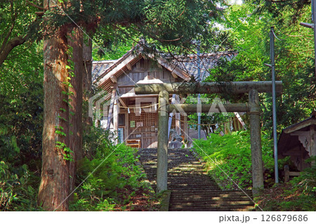 白山神社（上越） 126879686