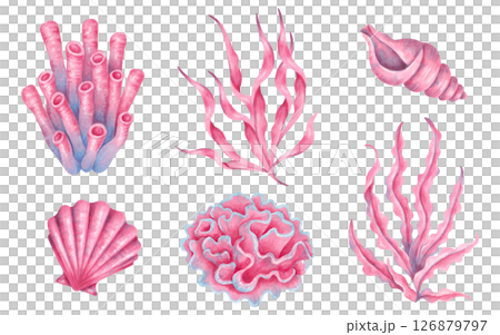 Collection of marine elements corals, seaweed and shells, sea plants. Watercolor illustration. Underwater nature of the seabed. Hand drawn isolated art. Clipart for childrens design, tourism, travel. 126879797