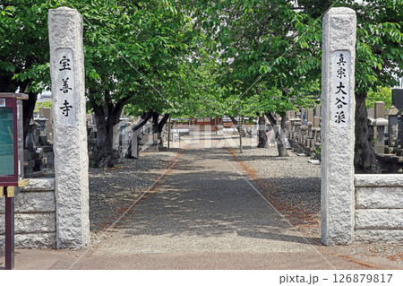 宝善寺（上越） 126879817