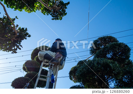 庭師　植木屋 126880260