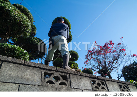 庭師 126880266