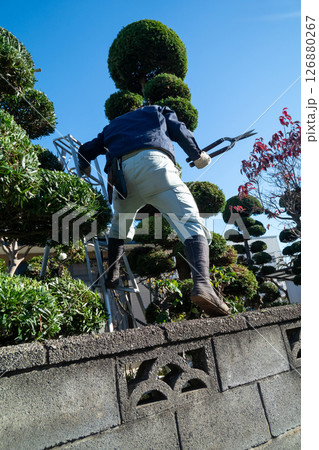 庭師 126880267
