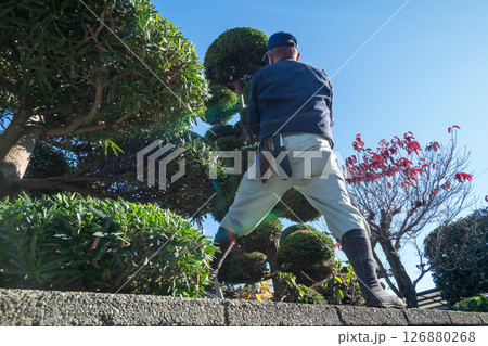 庭師 庭師 126880268