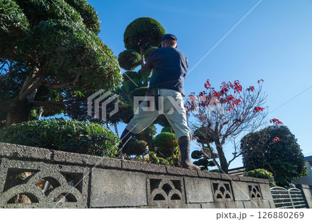 庭師 126880269