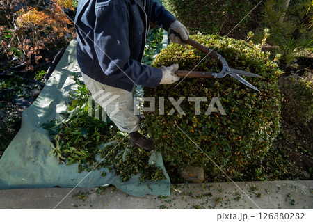 庭師　植木屋 126880282