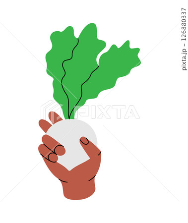 Hand holding a turnip. Healthy eating, vegan food and organic lifestyle concept. Vector illustration. 126880337