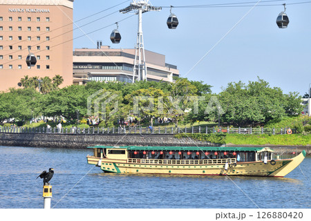 横浜みなとみらい運河に浮かぶ屋形船と羽を乾かす鵜 126880420