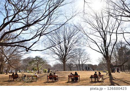 休日の公園のベンチで寛ぐ人々 126880423