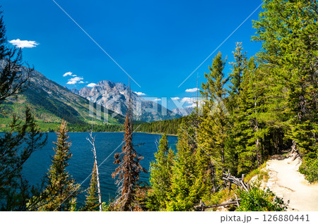 Jenny Lake trail at Grand Teton National Park in Wyoming, United States 126880441