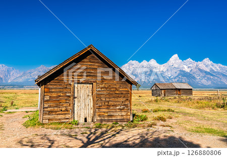 A small log cabin stands beside a bare tree in the Mormon Row Historic District of Grand Teton National Park, with the Teton Range rising dramatically in the background under a clear blue sky. A small log cabin stands beside a bare tree in the Mormon Row Historic District of Grand Teton National Park, with the Teton Range rising dramatically in the background under a clear blue sky. 126880806