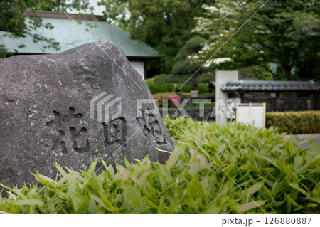 日本庭園・12 日本庭園・12 126880887