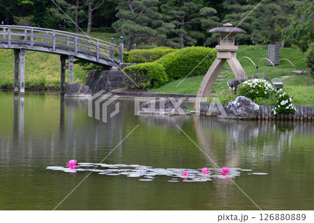日本庭園・10 126880889
