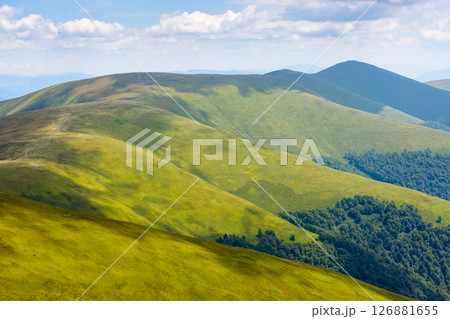 mountain landscape with green meadows in summer. hiking scenic environment with rolling hills of carpathian range. mount magura zhyde in the distance. sunny afternoon with fluffy clouds on a blue sky 126881655
