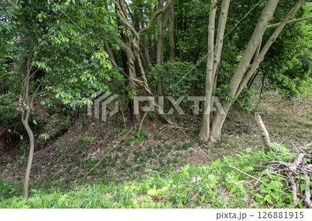 高月城　主郭馬出 126881915