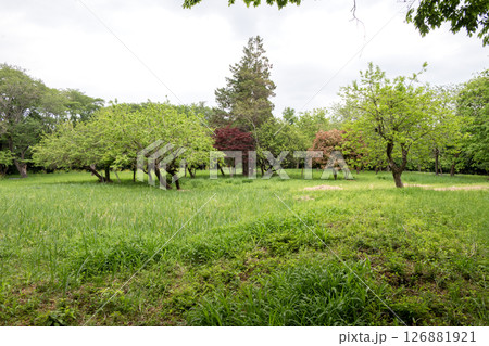 高月城　主郭跡 126881921