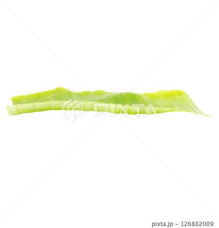 banana leaf  piece isolated on white backgrround 126882009