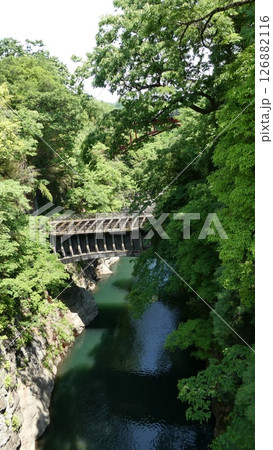 新緑に包まれた秘境の橋 126882116