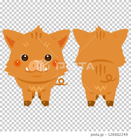 野豬正面和背面插圖集 126882249