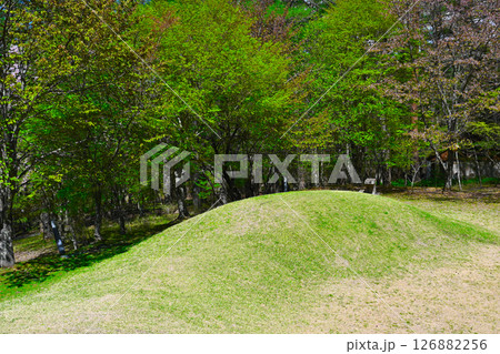 山中湖文学の森公園の景色 山中湖文学の森公園の景色 126882256