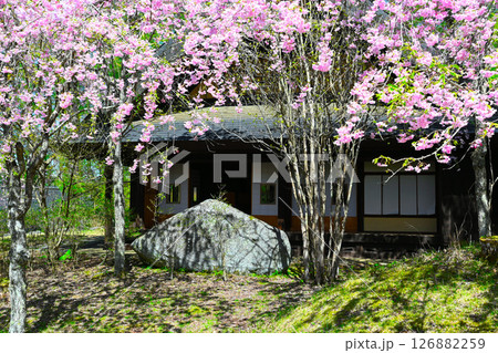 山中湖文学の森公園の景色 山中湖文学の森公園の景色 126882259