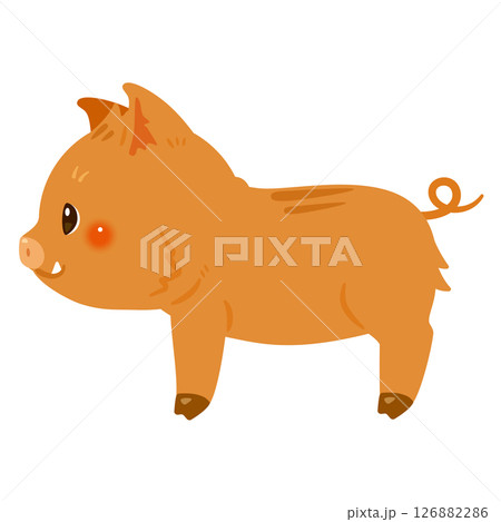 イノシシの横向きイラスト イノシシの横向きイラスト 126882286