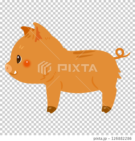 イノシシの横向きイラスト イノシシの横向きイラスト 126882286