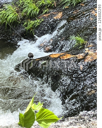 川ガラス 126882293