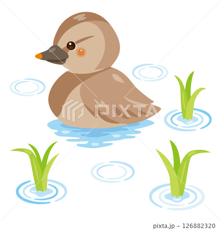 水田にいるアイガモのイラスト 126882320