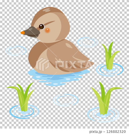 水田にいるアイガモのイラスト 126882320