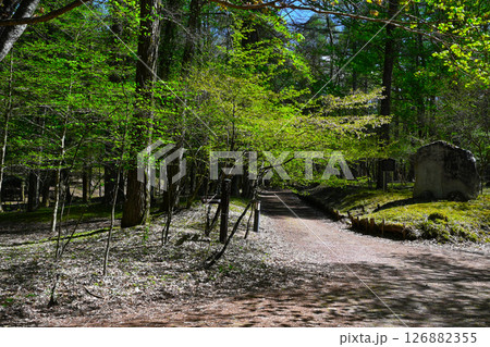 山中湖文学の森公園の景色 山中湖文学の森公園の景色 126882355