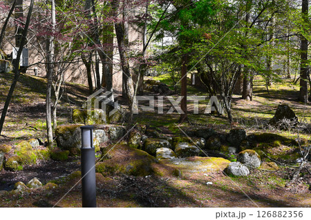 山中湖文学の森公園の景色 山中湖文学の森公園の景色 126882356