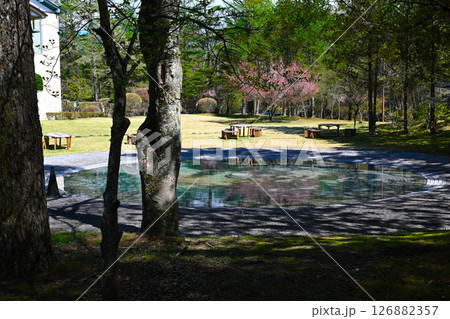 山中湖文学の森公園の景色 山中湖文学の森公園の景色 126882357