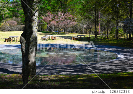 山中湖文学の森公園の景色 山中湖文学の森公園の景色 126882358