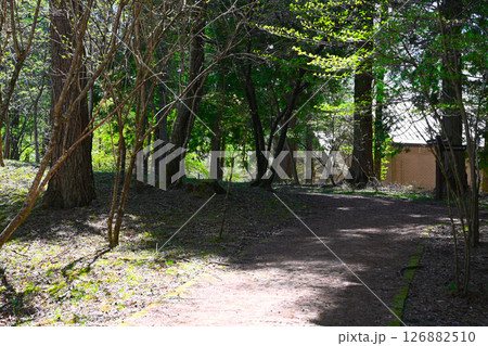 山中湖文学の森公園の景色 126882510