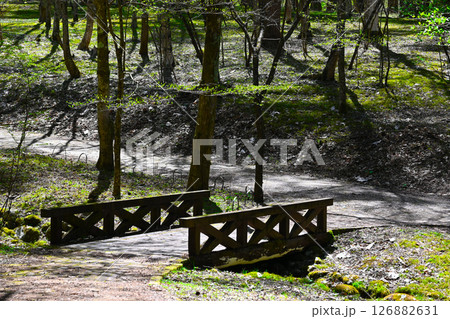 山中湖文学の森公園の景色 山中湖文学の森公園の景色 126882631
