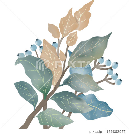 A botanical branch adorned with a mix of green and golden leaves, along with clusters of soft blue berries. 126882975