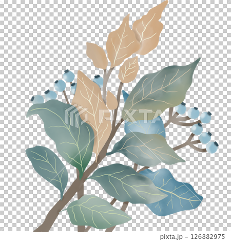 A botanical branch adorned with a mix of green and golden leaves, along with clusters of soft blue berries. 126882975