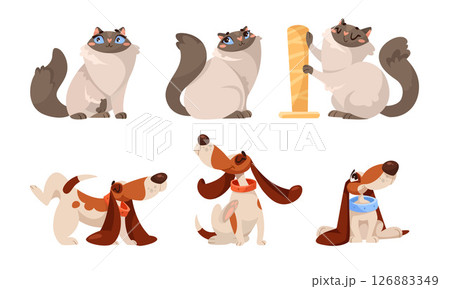 Explore the whimsical world of Cartoon Cats and Dogs Playful pet characters that bring joy 126883349