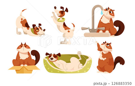 Playful Pets Adorable Dogs and Cats captured in delightful poses full of joy and fun 126883350
