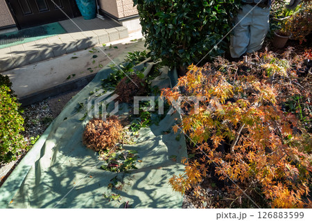 植木屋の養生シート 126883599